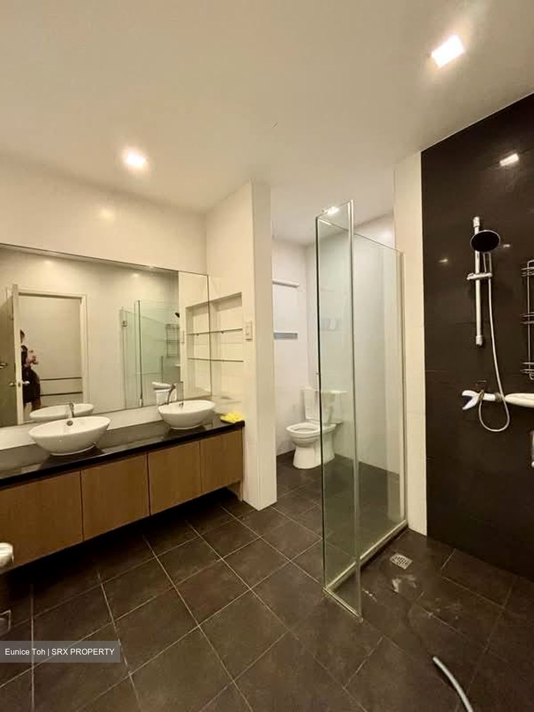 The Arcadia (D11), Condominium #593032721